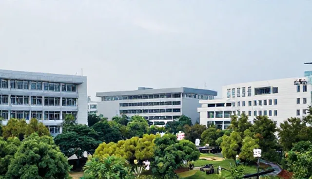 中小型网站建设如何提升区域支持效率?